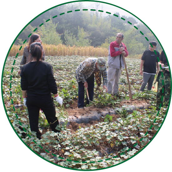 6766澳门娱乐直营