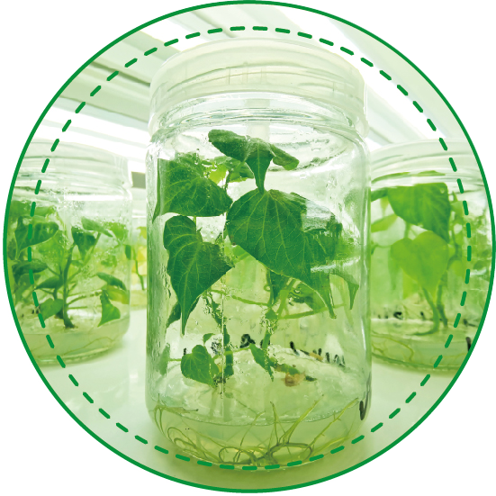 6766澳门娱乐直营